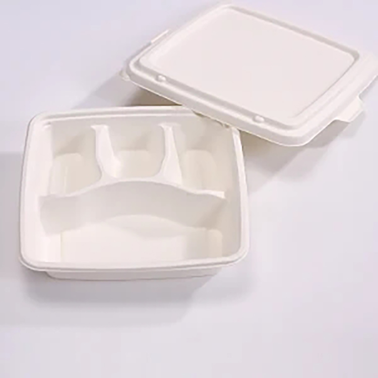 Sugarcane Pulp 4 Compartment Fast Food Container